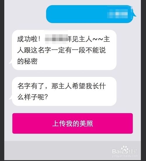 微软小冰怎么升级 微软小冰领养升级方法步骤详解 网络通讯 脚本之家