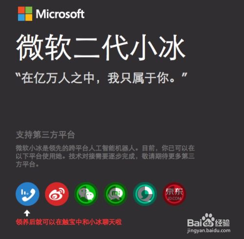 微软小冰怎么领养，微软小冰怎么升级