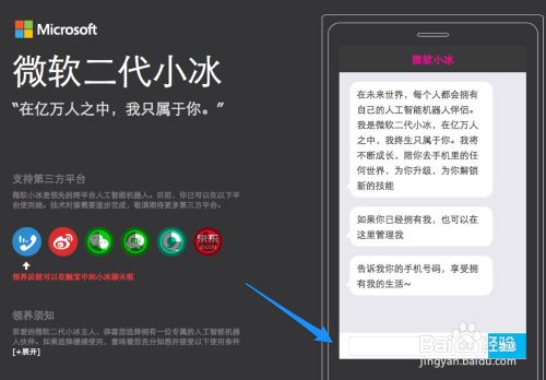 微软小冰怎么领养，微软小冰怎么升级