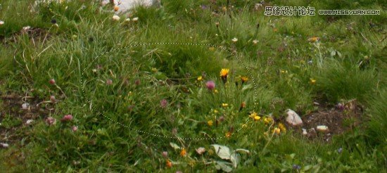 Photoshop合成时尚创意的人像海报教程