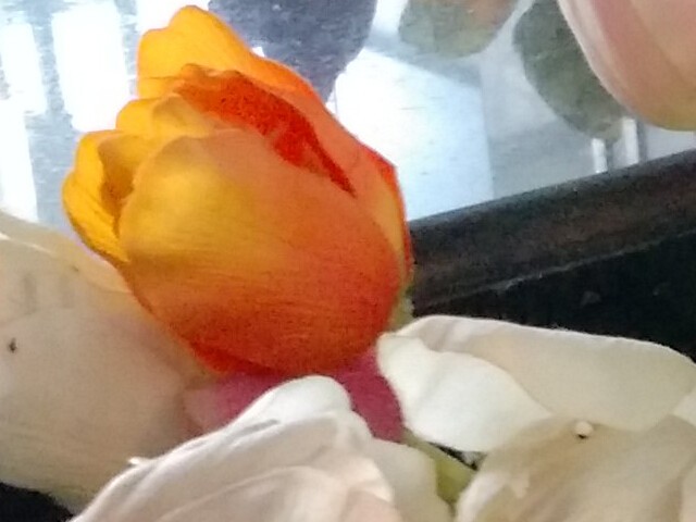 IMX214�ĶԾ� С��4/����/��ҫ6������ 