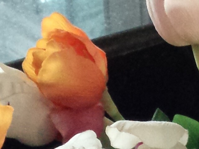 IMX214�ĶԾ� С��4/����/��ҫ6������ 