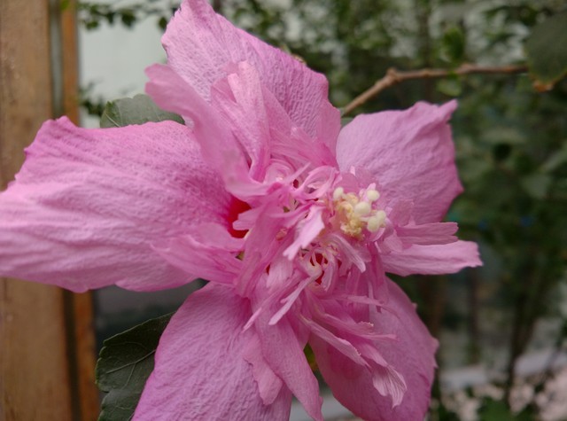 IMX214�ĶԾ� С��4/����/��ҫ6������ 