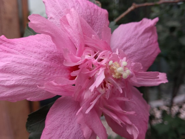 IMX214�ĶԾ� С��4/����/��ҫ6������ 