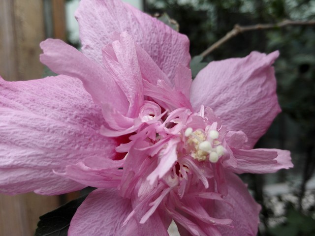 IMX214�ĶԾ� С��4/����/��ҫ6������ 