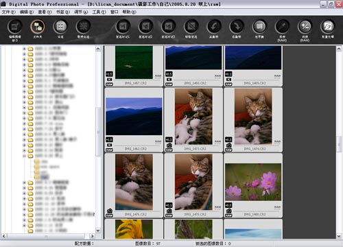 dpp下载 佳能dpp软件(Digital Photo Professional) v3.9 安装免费中文版