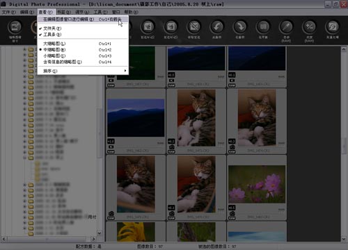 dpp下载 佳能dpp软件(Digital Photo Professional) v3.9 安装免费中文版