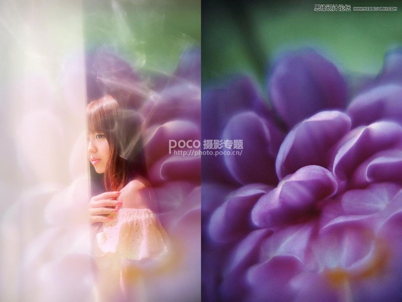 Photoshop后期合成唯美的花朵人像效果图