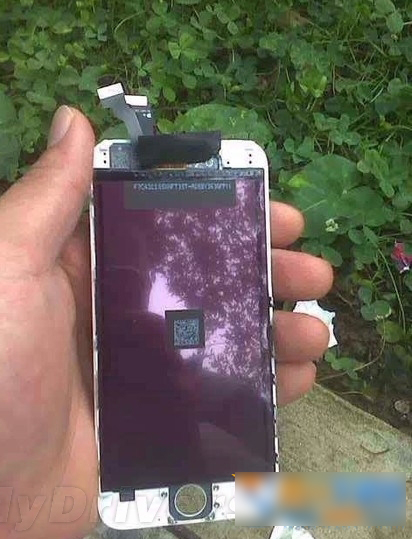 iphone6L图片