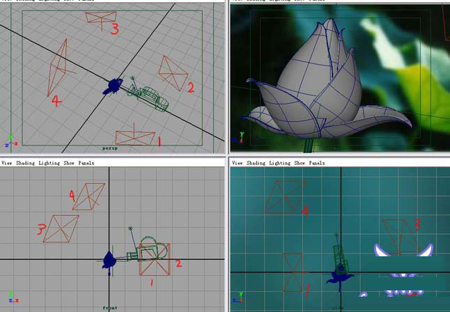 MAYA7.0制作荷花材质教程 脚本之家 MAYA材质灯光
