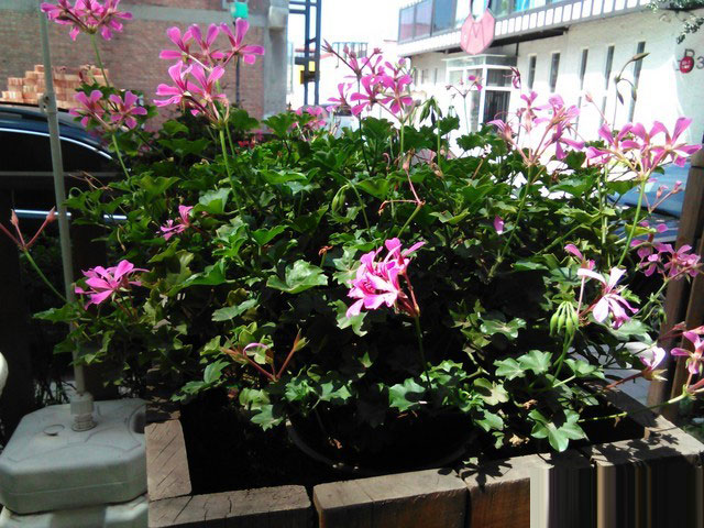 999元高通四核 联通3G版荣耀平板评测 