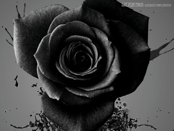 用Photoshop合成超酷的泼墨效果的流体风格海报