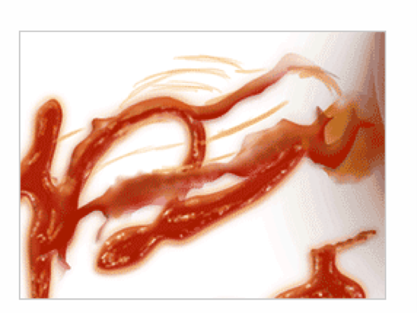 PS制作创意漂亮的番茄酱文字效果