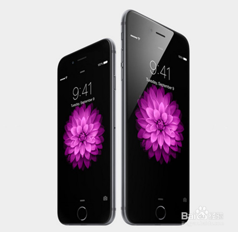 iPhone6 Plus港版怎么预定?iPhone6港版预约流程