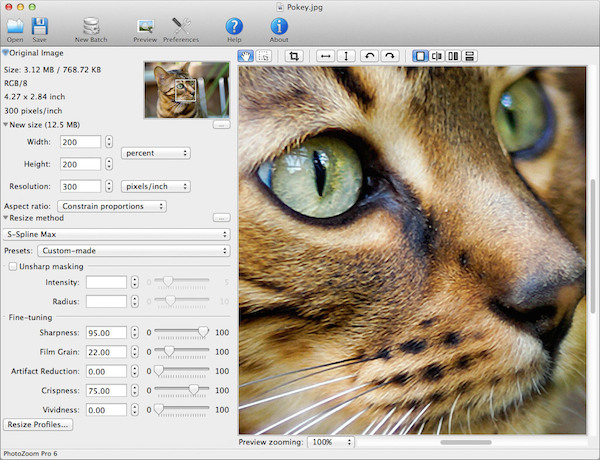 PhotoZoom Pro for mac v8.0 苹果电脑版