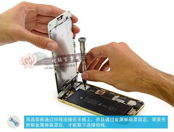 iPhone6怎么换屏 iPhone6/6 Plus换屏幕教程