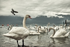 Photoshop合成诗意梦幻的月全食效果图