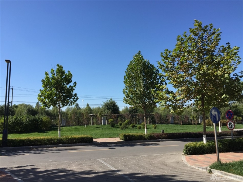 不只是变大！行货iPhone 6首发评测