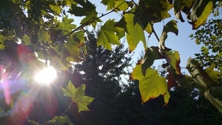 �ȸ����ǿ��! ����Edge�Ա�iPhone 6 