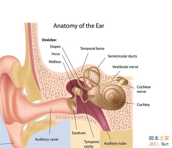诡异 为啥微信里声音不像你？