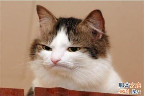 诡异 为啥微信里声音不像你？