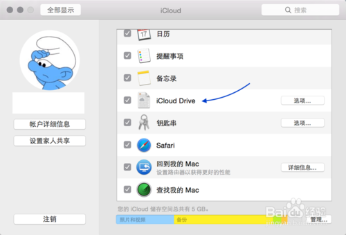 iCloud Drive怎么用