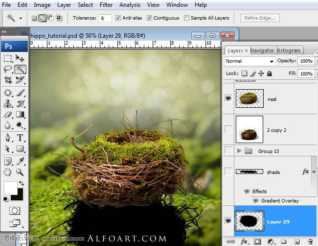 PS合成刚从鸟巢中孵化出的河马创意另类图片