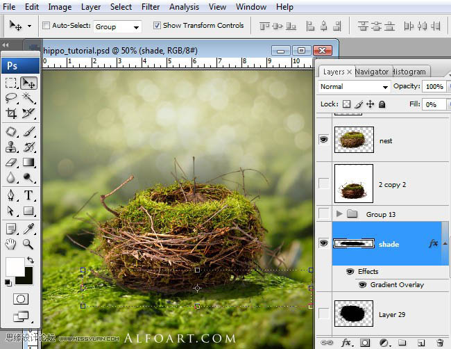 PS合成刚从鸟巢中孵化出的河马创意另类图片