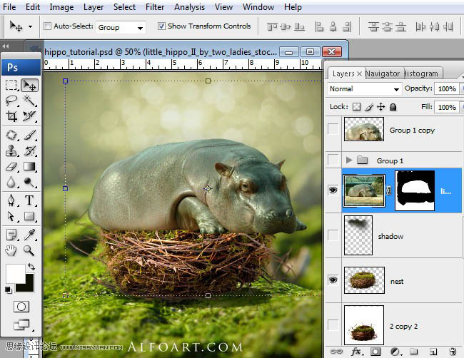 PS合成刚从鸟巢中孵化出的河马创意另类图片
