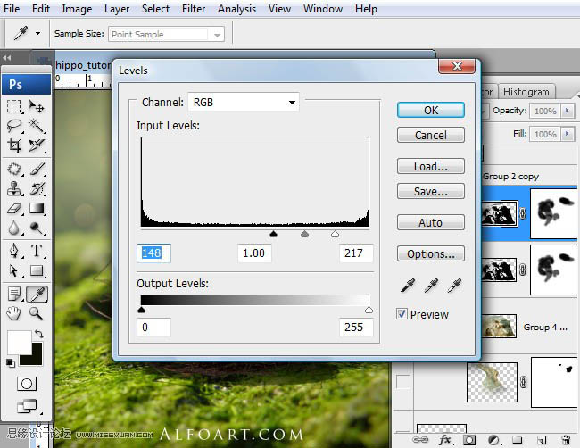 PS合成刚从鸟巢中孵化出的河马创意另类图片