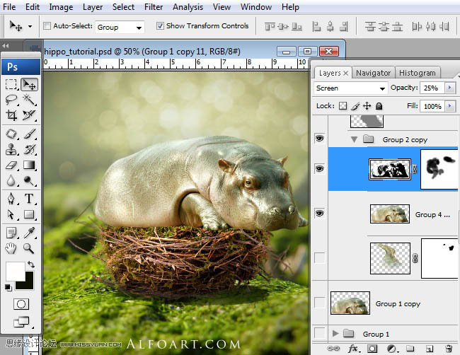 PS合成刚从鸟巢中孵化出的河马创意另类图片