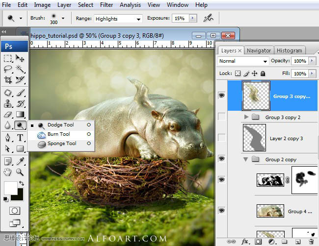 PS合成刚从鸟巢中孵化出的河马创意另类图片