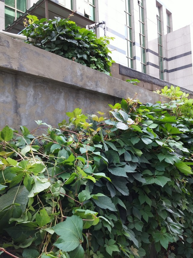 lg g3��������