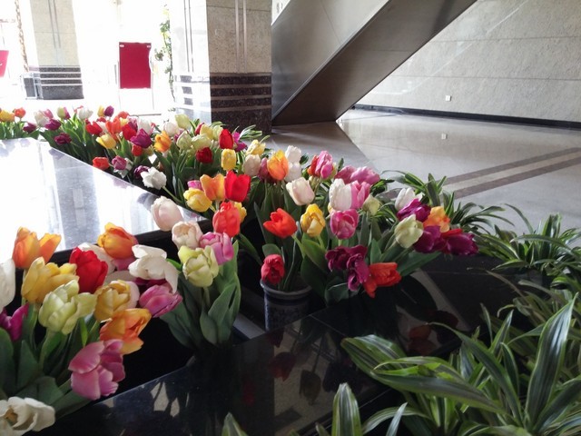 lg g3��������