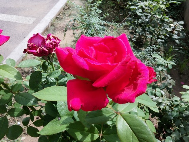 lg g3��������