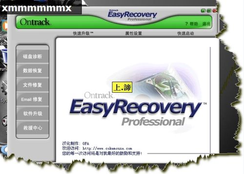 EasyRecovery数据恢复软件（使用图解教程）