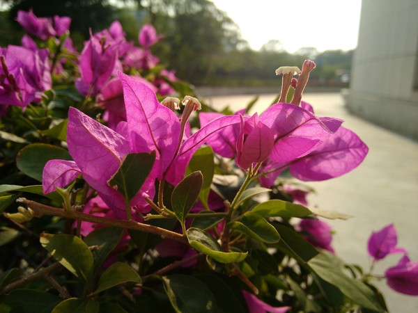 Ħ������G2����