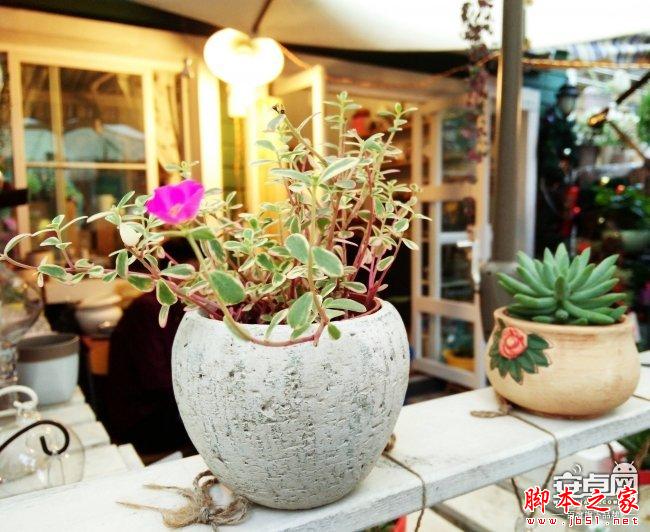 小米4拍照新技能 教你如何拍惊人微距照片