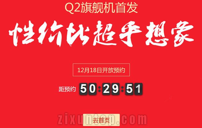 大Q Q2手机