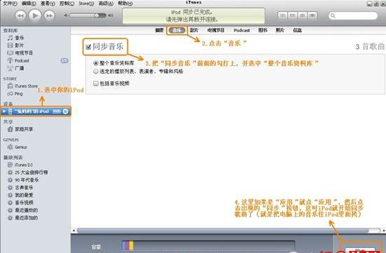 Ipod iTunes for mac 音乐播放器 4.9.36 官方版