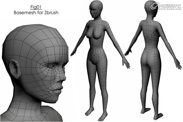 MAX打造次世代女机器人角色 脚本之家 3DSMAX建模教程