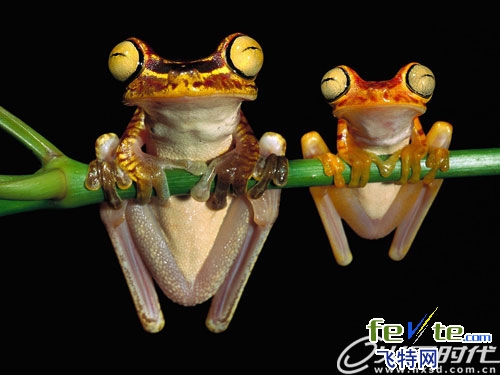 maya角色动画教程 maya高手打造《丛林危机》过程全记录录 脚本之家 MAYA经典教程