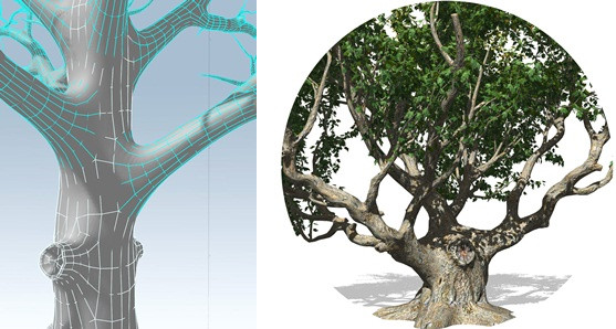 SpeedTree 三维树木建模工具 7.0 官方中文安装版