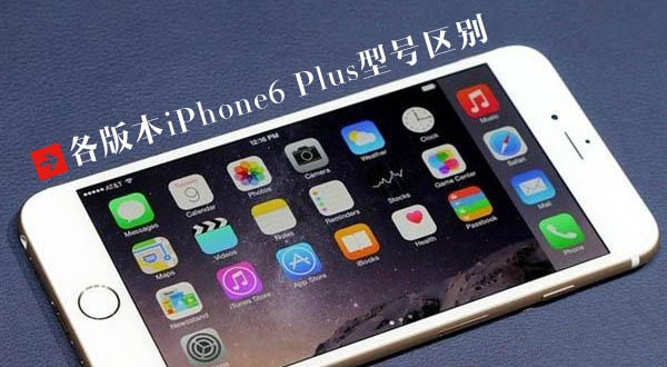 iPhone6 Plus有哪些型号 各iPhone6 Plus型号区别