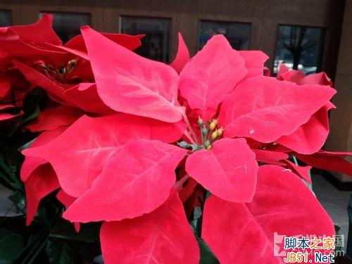 价格只差100元 红米2和乐檬K3对比评测 