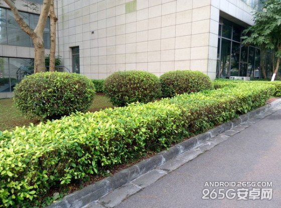 同门生比拼魅蓝note/MX4拍照对比评测