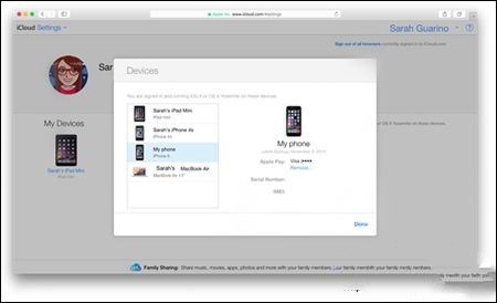 apple pay远程删除如何使用?
