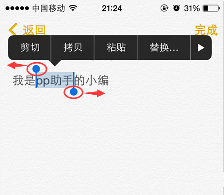 果粉不可或缺：iPhone打字高手培养手册