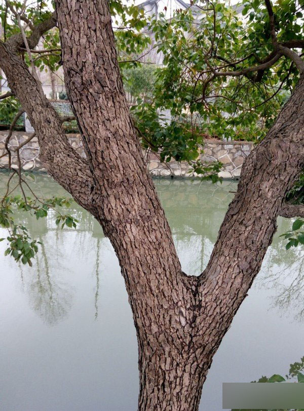 魅蓝Note深度评测视频