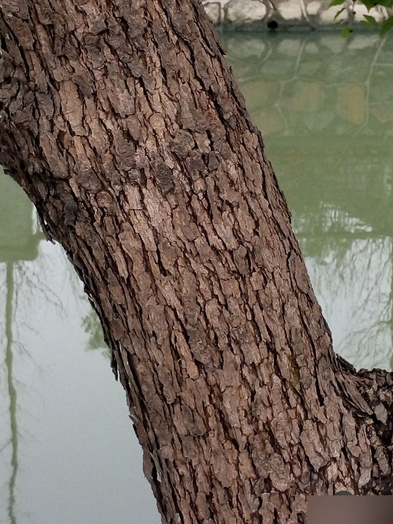 魅蓝Note深度评测视频